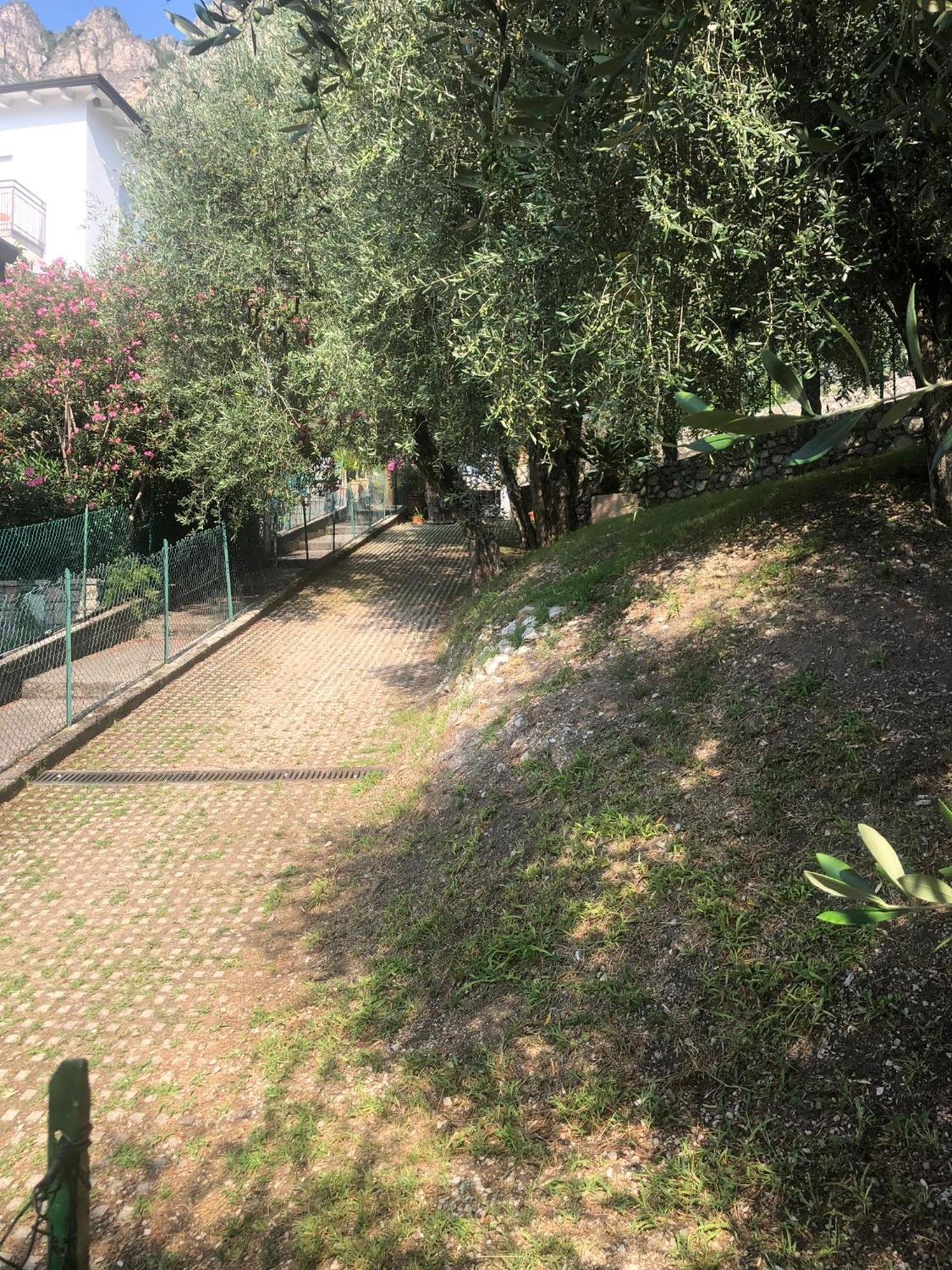 Apartment La Casa Sul - Olive Tree *