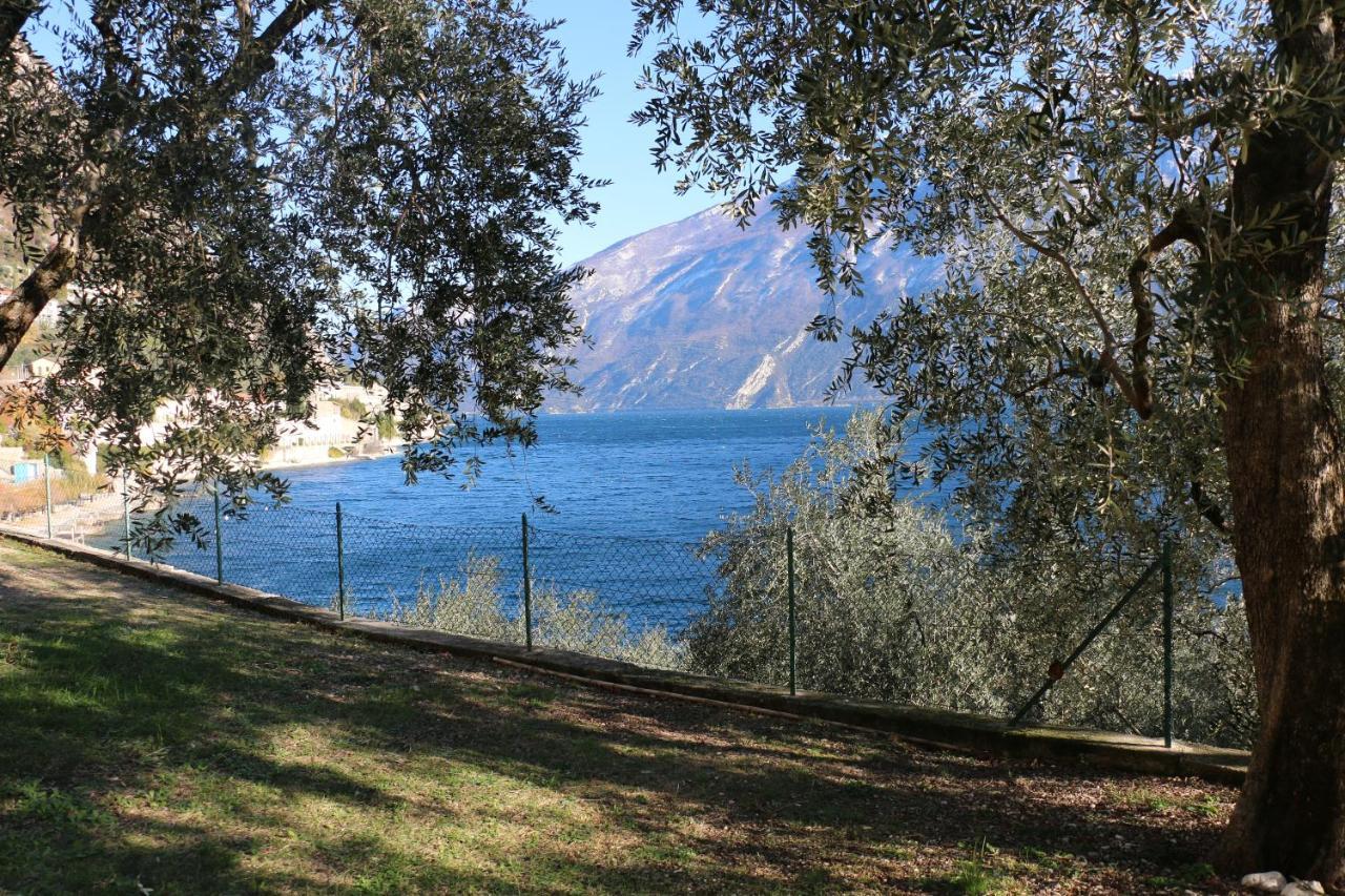 La Casa Sul - Olive Tree Limone sul Garda