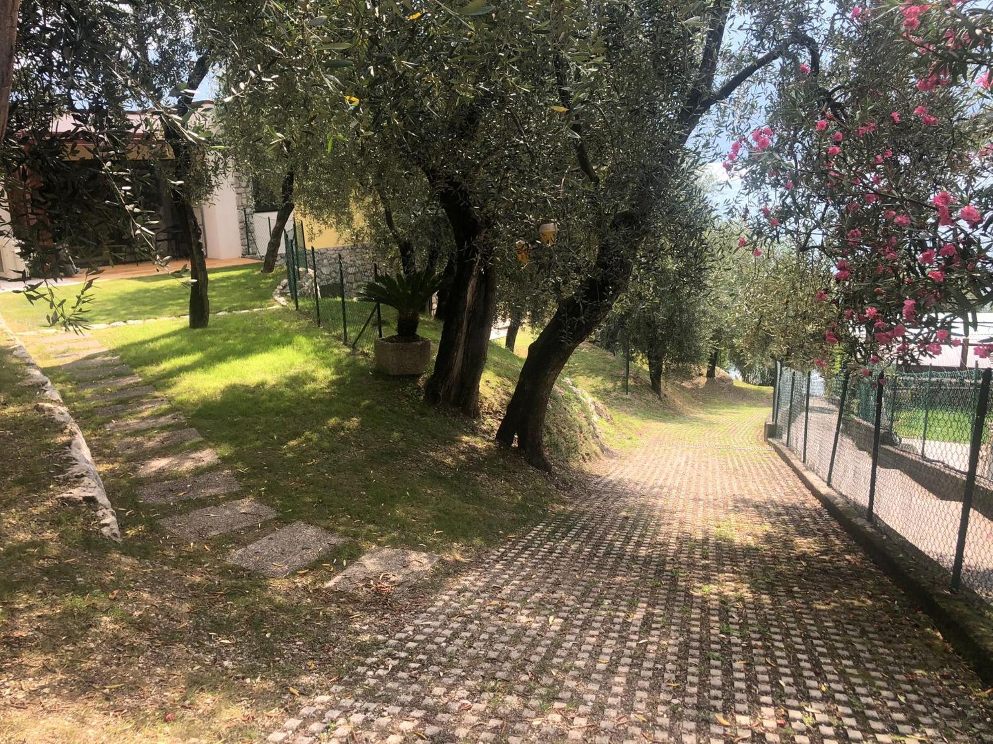 Apartment La Casa Sul - Olive Tree Limone sul Garda